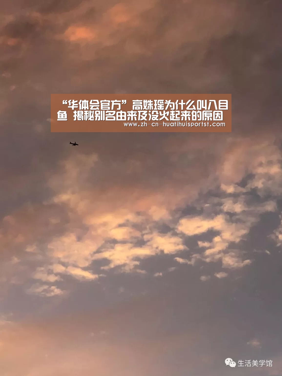 华体会官网