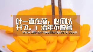 华体会官方