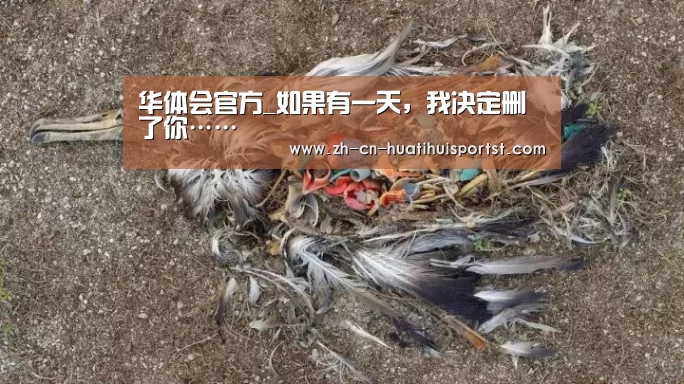 华体会官方_如果有一天,我决定删了你……(图1) 华体会官网